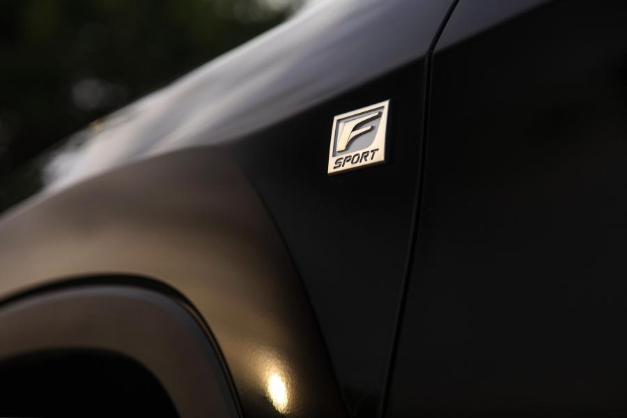 Детали экстерьера Lexus RX450h F-Sport 2019 года  (NA) (фото 9 из 37)